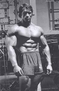 Arnold-Schwarzenegger-Physique-4