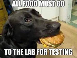 Lab for testing