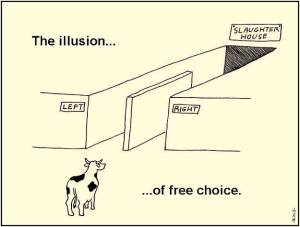 Free Choice
