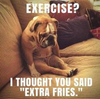 Wk 16 Exercise vs fries